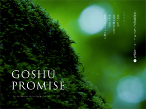 GOSHU PROMISE - ܏Fi